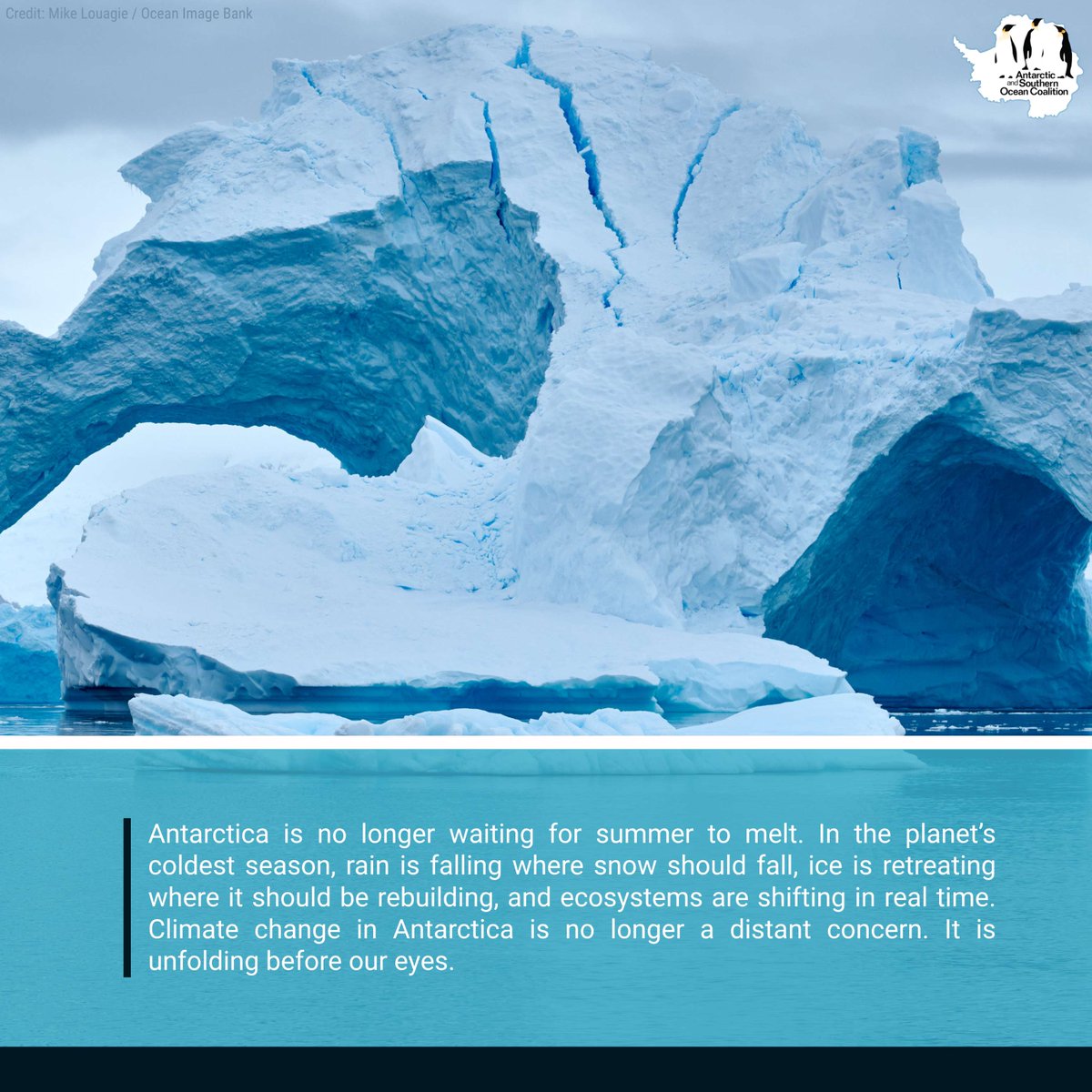 AntarcticaSouth's tweet photo. Earlier this month, a record 15.4°C was recorded at Esperanza Station, more than 20°C above average.  During winter, Antarctica should be rebuilding ice, stability, and resilience. Instead, that foundation is weakening. 
📷 Mike Louagie / Ocean Image Bank
https://t.co/cbmIt0NZnB https://t.co/f7S5rRo1Mw
