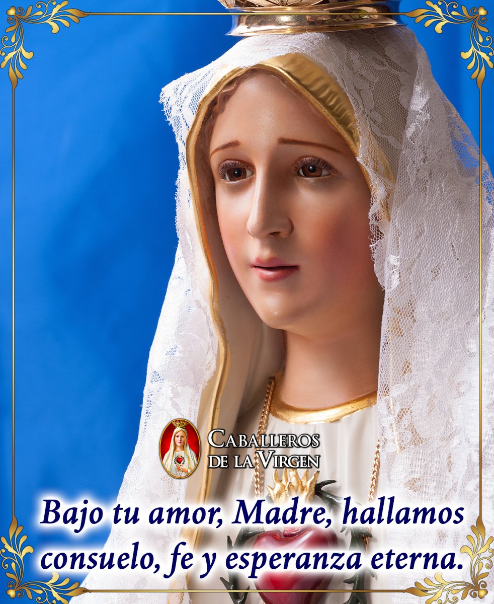 Caballeros de la Virgen tweet media