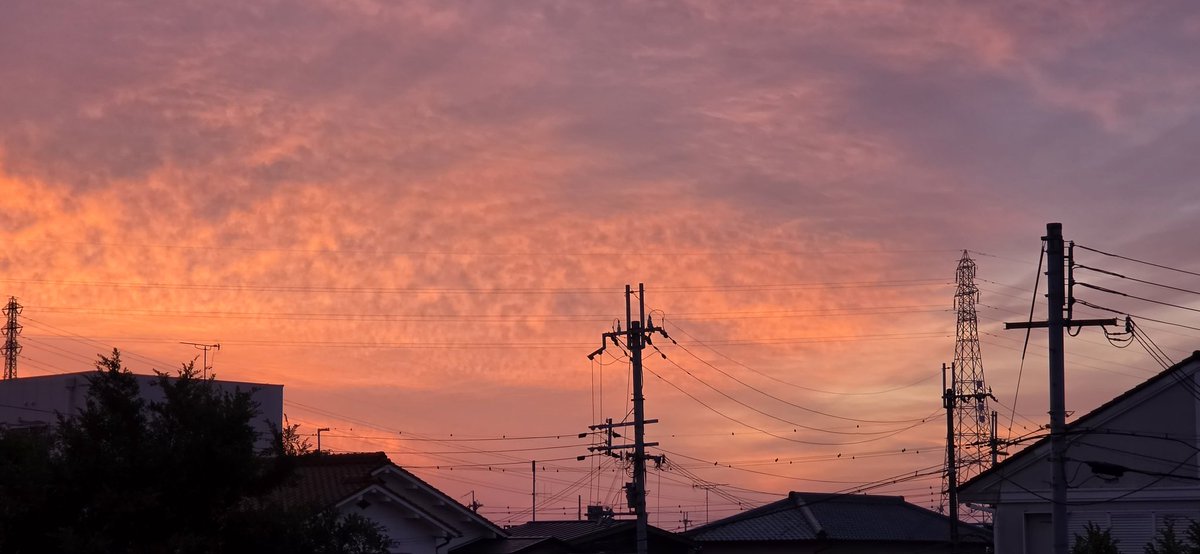 charakoko's tweet photo. #イマソラ
 #カコソラ
 #朝焼け
 #空が好きな人と繋がりたい https://t.co/AX4s1dY1na