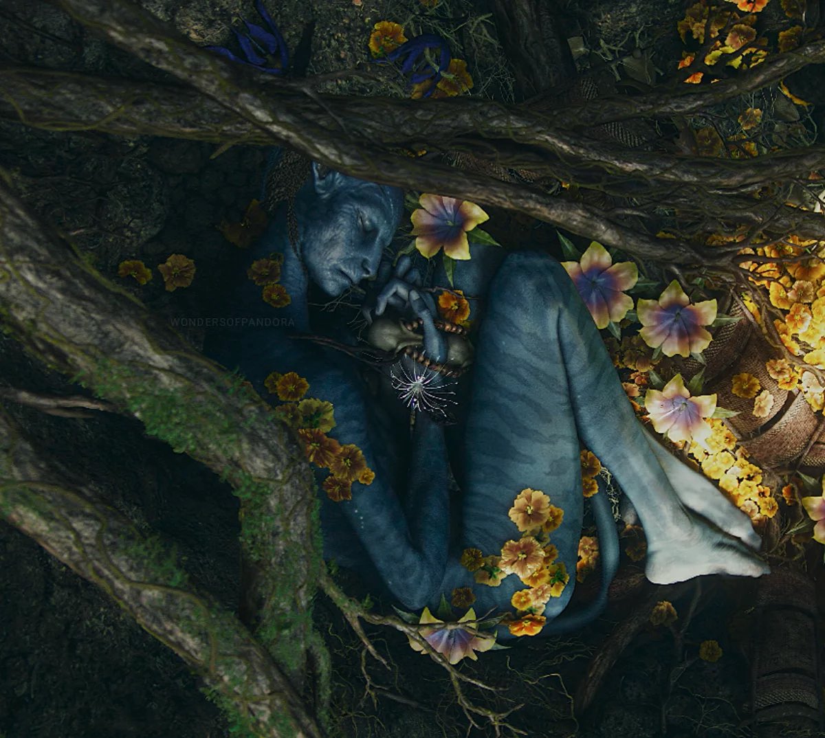 neytirisa's tweet photo. all energy is only borrowed, and one day you have to give it back https://t.co/9GMfF6wYWi