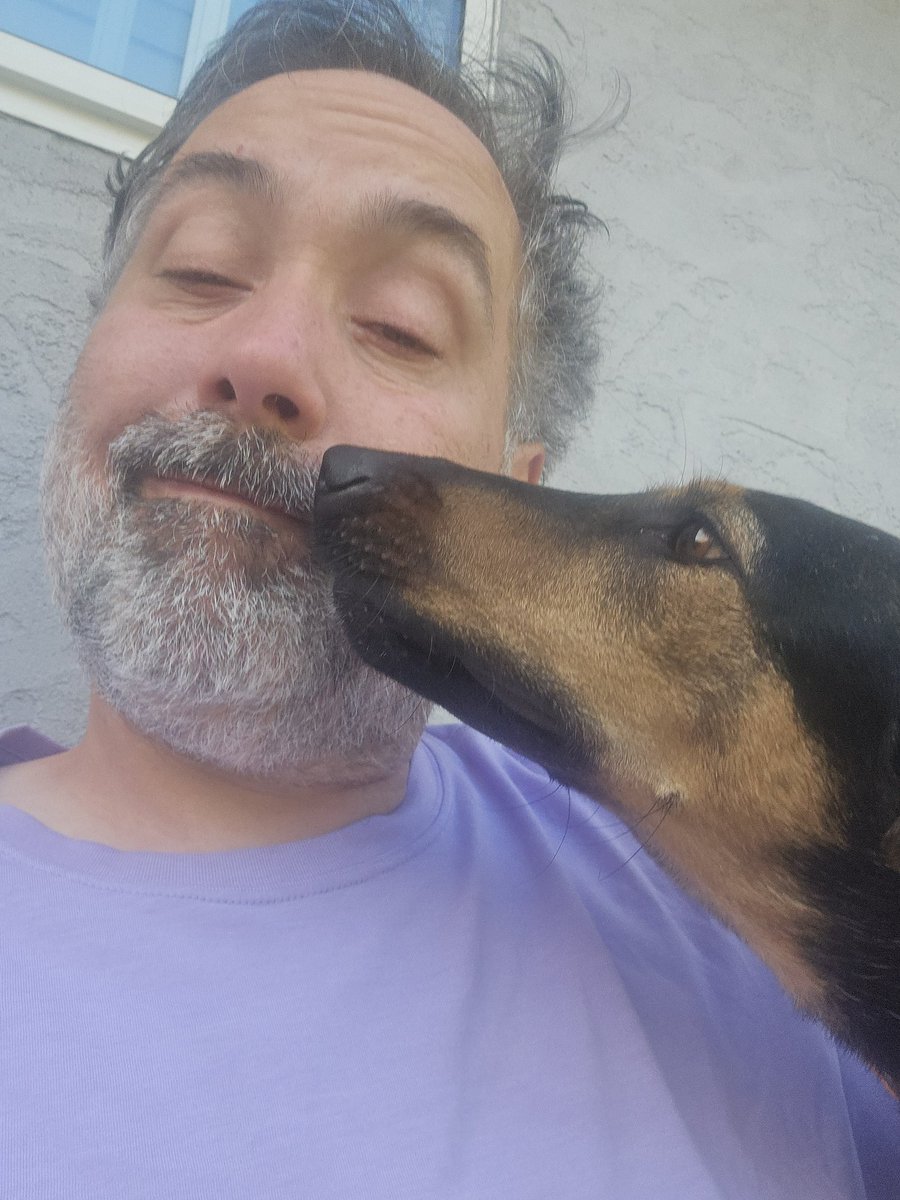 thejohnwilson's tweet photo. @KeithOlbermann while I'm thinking good thoughts for you, I fostered for 2 weeks. Max and I were best buddies in 3 days. My nephew and sister were too allergic. Full recovery for you and best to your producers. https://t.co/p2LH8oKvce