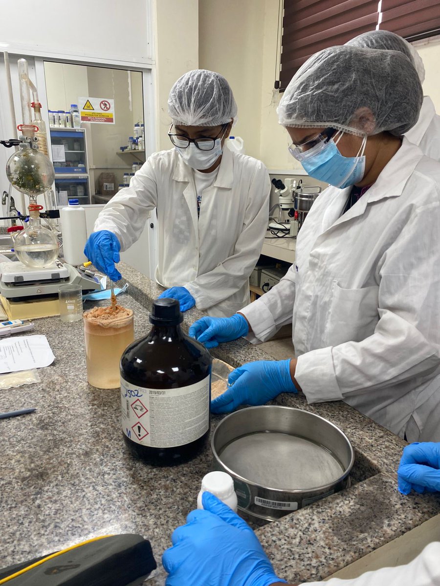 AgriculturaEc's tweet photo. 📍 Manabí | Del laboratorio a la innovación acuícola.

El Viceministerio de Acuacultura y Pesca, junto a la Universidad Laica Eloy Alfaro de Manabí (ULEAM), desarrolló una jornada práctica sobre el aprovechamiento de la cáscara de camarón para la obtención de quitosano.

Estudiantes de Ingeniería Agroindustrial fortalecieron sus conocimientos y aportaron al desarrollo de alternativas sostenibles para el sector pesquero y acuícola.
#MAGP #GobiernoDelEcuador