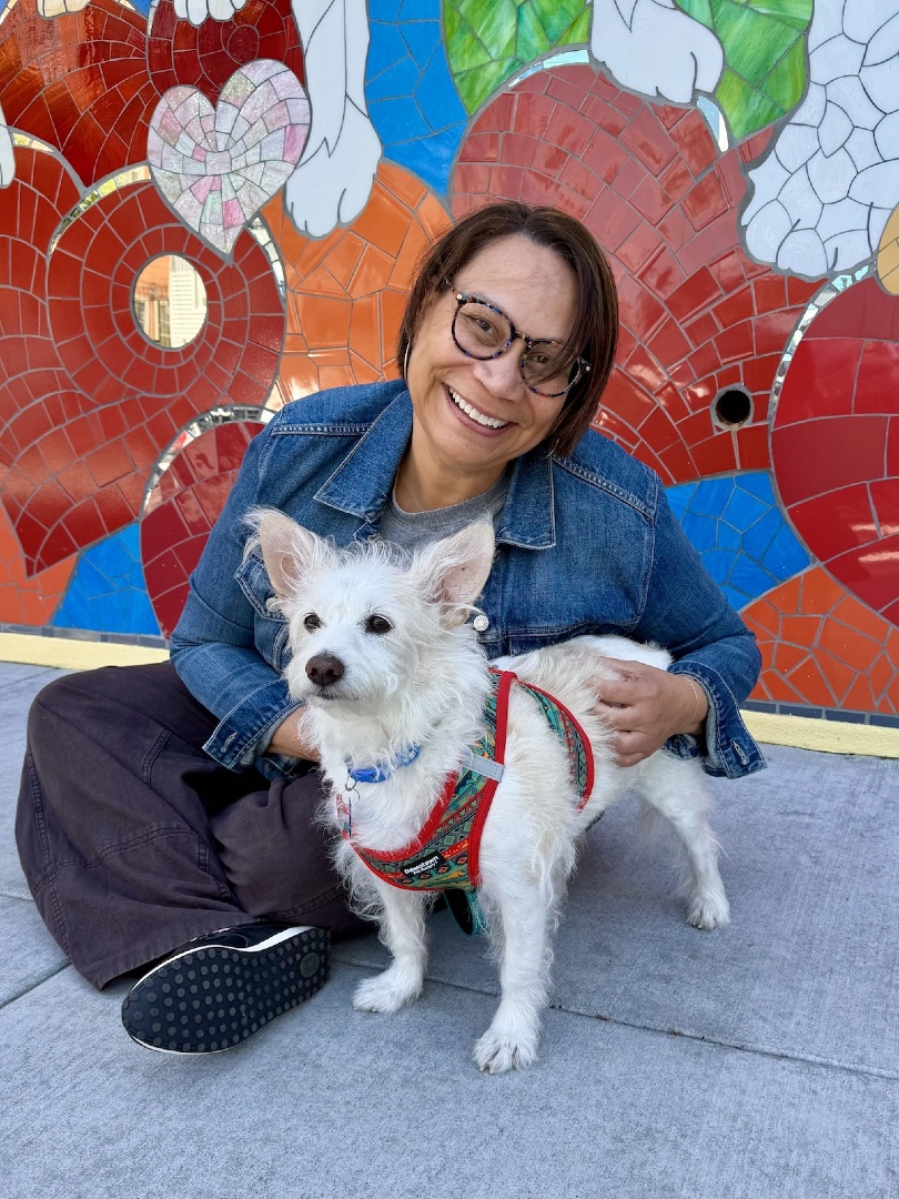 Muttville's tweet photo. We're all smiles because 23 senior mutts trotted off to new homes last week! That's a whole lotta love! 💗 https://t.co/b1VZX0JjIg