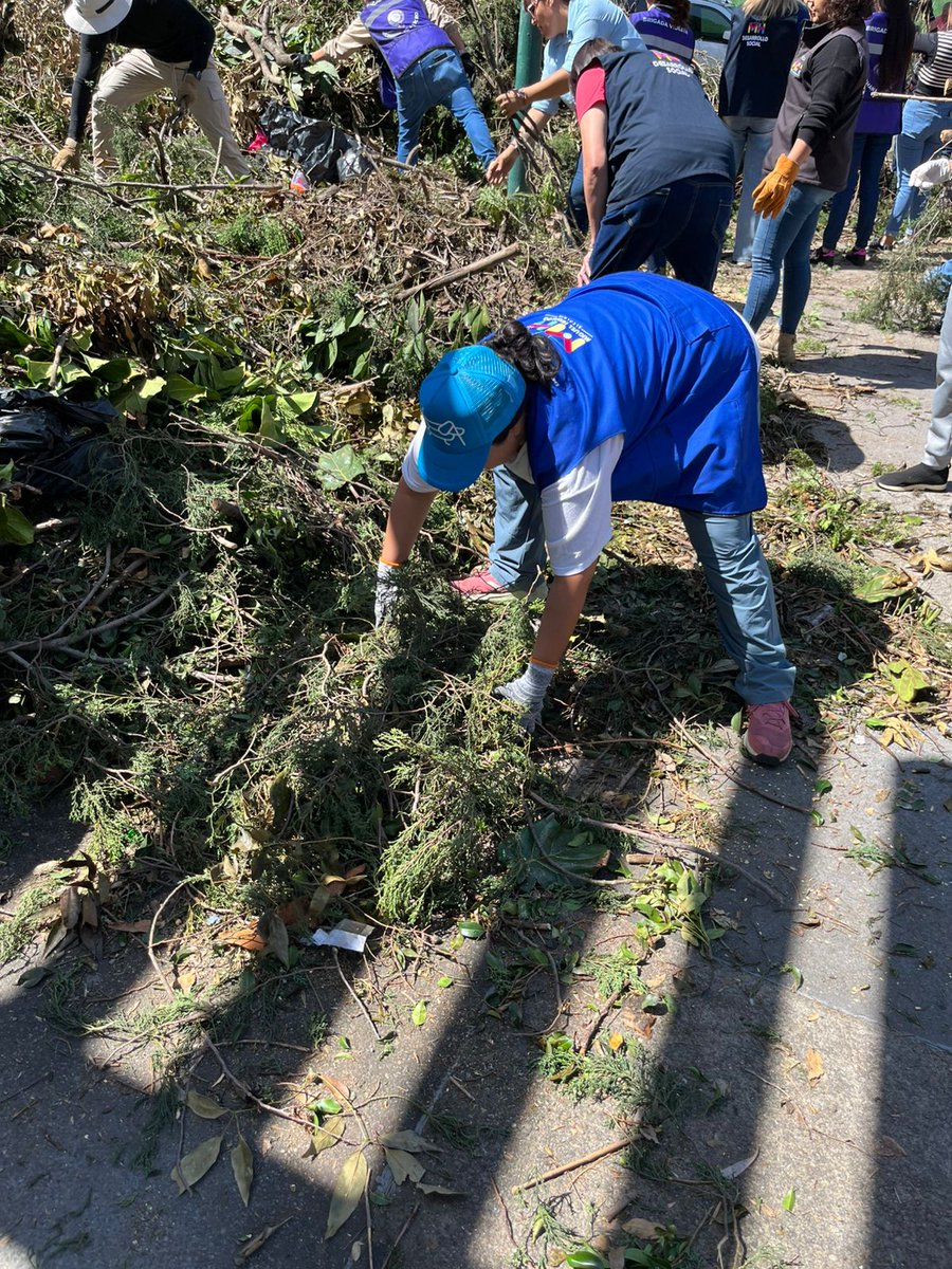 LessMoreno22's tweet photo. Han pasado ya varios días del inicio del #OperativoTormenta en la @AlcaldiaMHmx y nosotros seguimos trabajando por nuestras vecinas y vecinos 💪🏽 https://t.co/lMXEfEo6Vd