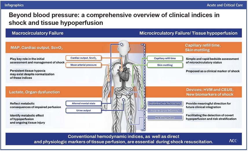 CritCareReviews's tweet photo. Beyond blood pressure: a comprehensive overview of clinical indices in shock and tissue hypoperfusion

CCR Journal Watch
https://t.co/Sp06oA6IDG https://t.co/MoGhqBMzl8