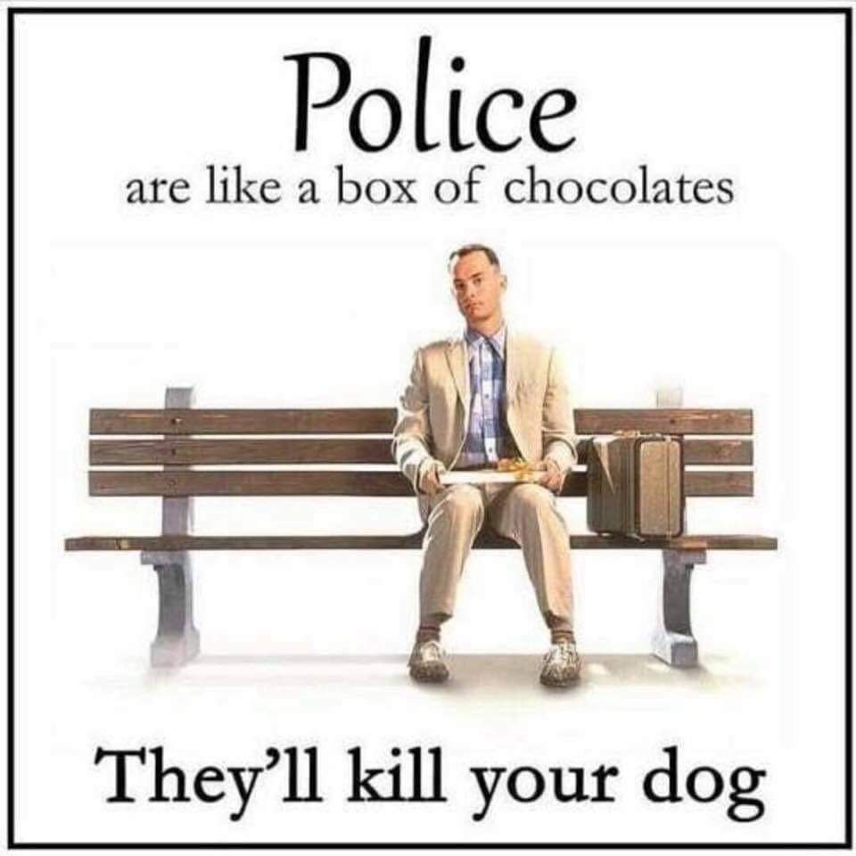 65Heath's tweet photo. @PoliceThePolic1 @borders_r_fake https://t.co/x5Gmtgv1yI