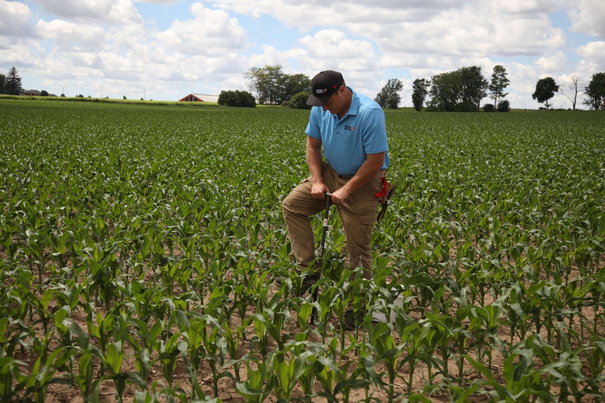 Central_ON_FS's tweet photo. Our ag team are collecting samples to evaluate nitrogen availability and better understand how nitrogen programs are performing under this year's conditions. Contact your Crop Specialist to get your field on the list! #FSAgronomy #ontag  🌱🚶‍♀️‍➡️🔍 https://t.co/XBYK4d2MGo https://t.co/7so8XQWTbq