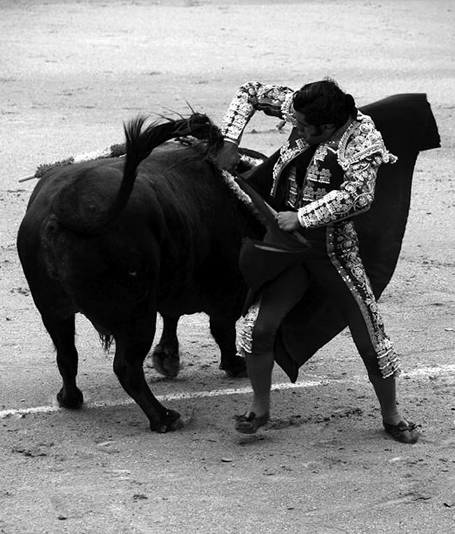 Alamares_largos's tweet photo. Cuando al punto final de los finales, no le siguen dos puntos suspensivos. https://t.co/uEcKNnMWzO