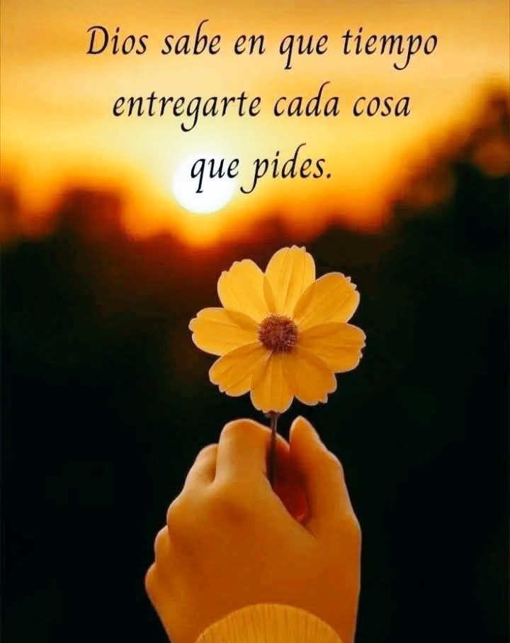 Kika748's tweet photo. 🌼🌼🌼 https://t.co/L5EyTIVzTW
