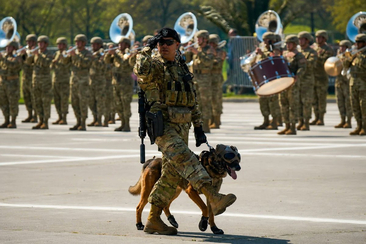 Ejercito_Chile's tweet photo. 𝐄𝐬𝐩𝐞𝐜𝐢𝐚𝐥𝐢𝐬𝐭𝐚𝐬 𝐊𝟗 𝐝𝐞𝐥 𝐄𝐣𝐞́𝐫𝐜𝐢𝐭𝐨 𝐝𝐞𝐬𝐭𝐚𝐜𝐚𝐧 𝐞𝐥 𝐭𝐫𝐚𝐛𝐚𝐣𝐨 𝐪𝐮𝐞 𝐬𝐮𝐬𝐭𝐞𝐧𝐭𝐚 𝐚 𝐥𝐨𝐬 𝐛𝐢𝐧𝐨𝐦𝐢𝐨𝐬 𝐜𝐚𝐧𝐢𝐧𝐨𝐬.
➡️https://t.co/h23QiWtjoi
Estas experiencias fueron recogidas recientemente en el libro "Dejando Huellas, Historias de Binomios K9", de la escritora paraguaya Pabla Thomen, publicación que reúne relatos de guías caninos de distintas partes del mundo.