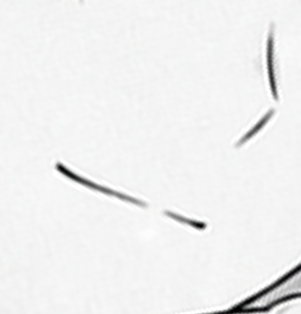 t_seseri's tweet photo. 最近の絵を学んでいますが、「口の中央に切れ目を入れる」テクニックはどういう理屈なのだろう https://t.co/iNxyL1BFul