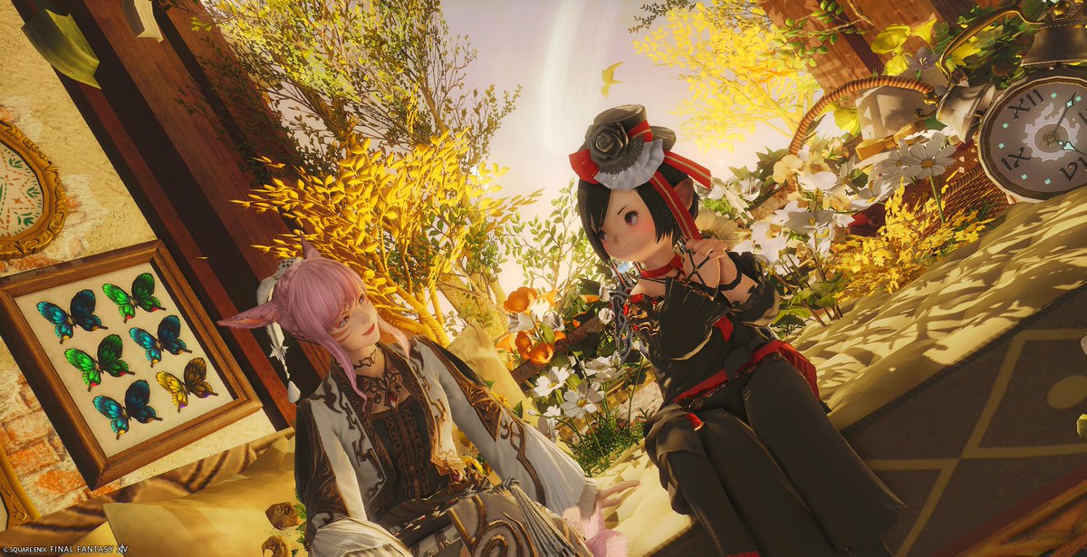 Ruilei🌱☽Chocobo tweet media