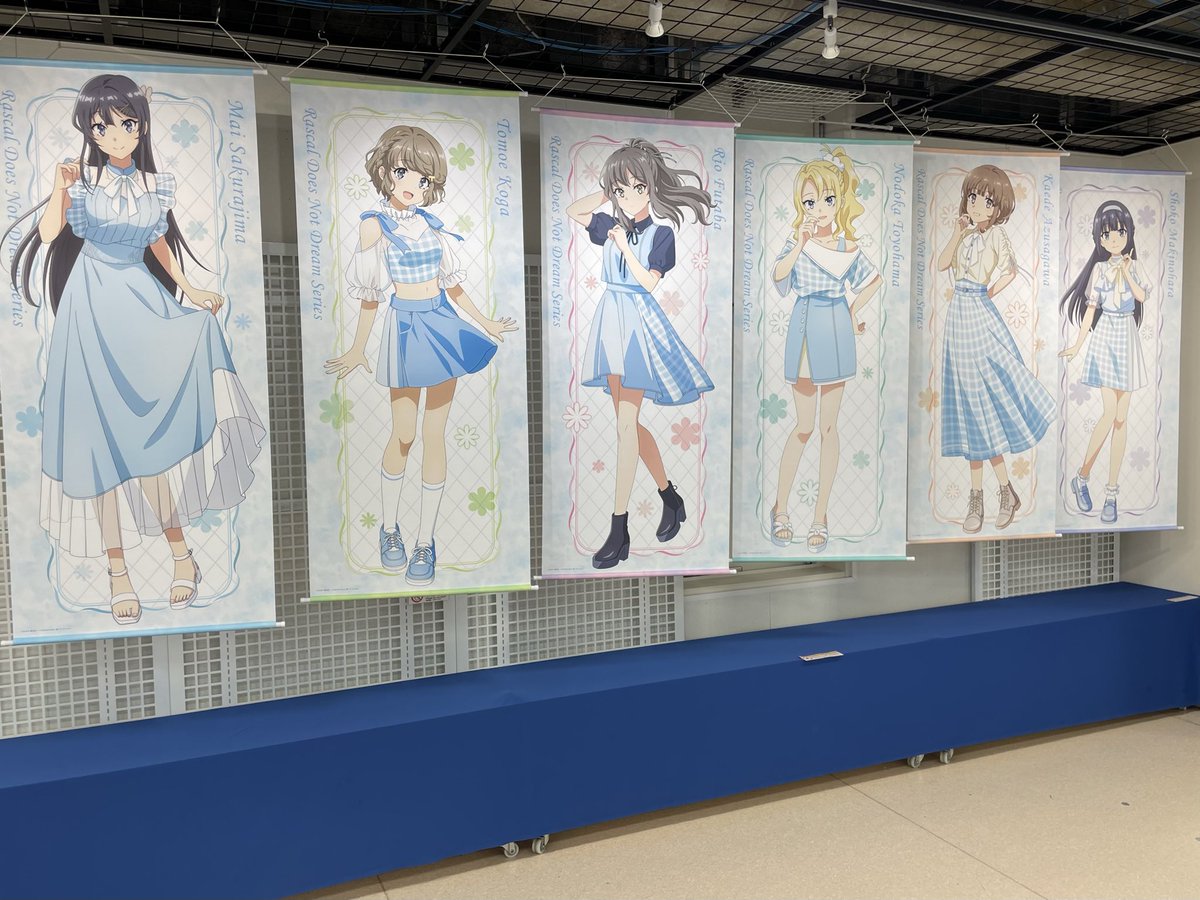 等身大タペストリー 青春ブタ野郎 - メルカリ 牧之原 翔子 サマー 