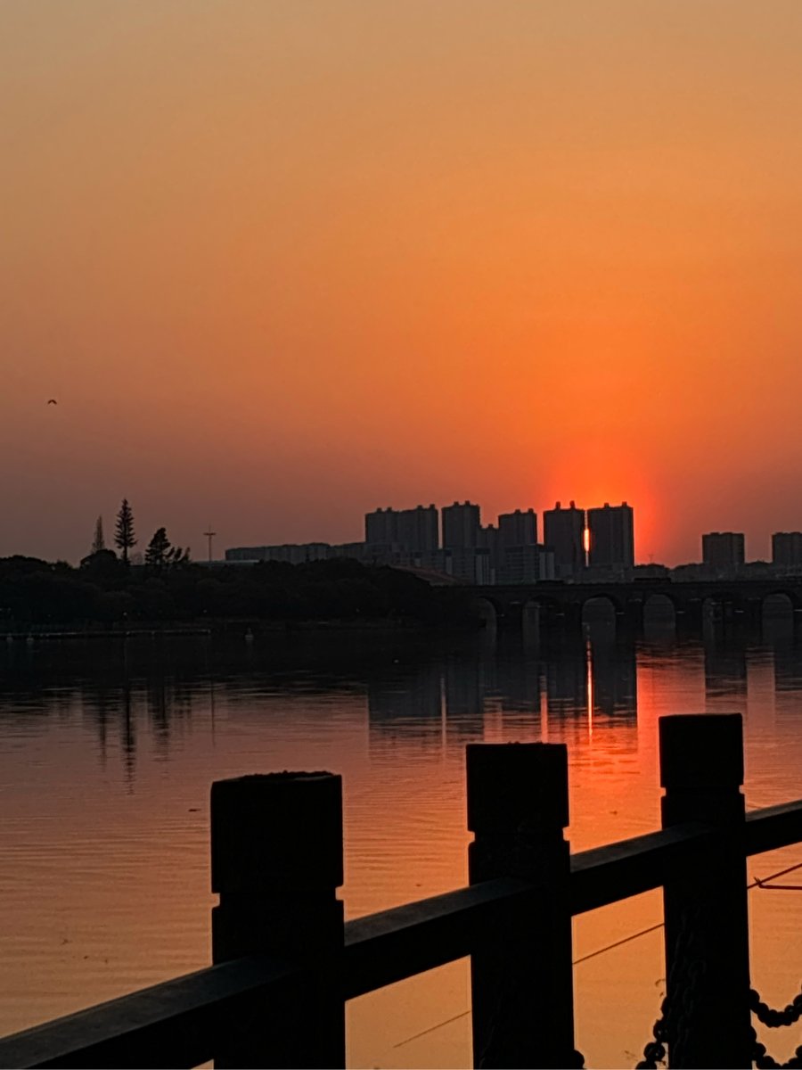 SScheler's tweet photo. New to photography Start with mastering natural light—shooting during golden hour (1hr after sunrise / 1hr before sunset) turns ordinary scenes into warm, vivid shots. No fancy gear needed, just a smartphone and a timer! https://t.co/MAvOhWzoi9