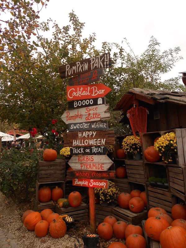 layxsnv's tweet photo. Don’t jump me….but we can lowkey skip right on to FALL now. 🍂🧡 https://t.co/fo4KC1MNsU