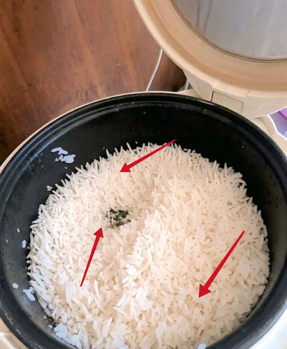 whyme_vell's tweet photo. ini kenapa nasi di kosan gw bisa kayak gini.

ada yang pernah ngalamin? https://t.co/v1jwEOeyzC