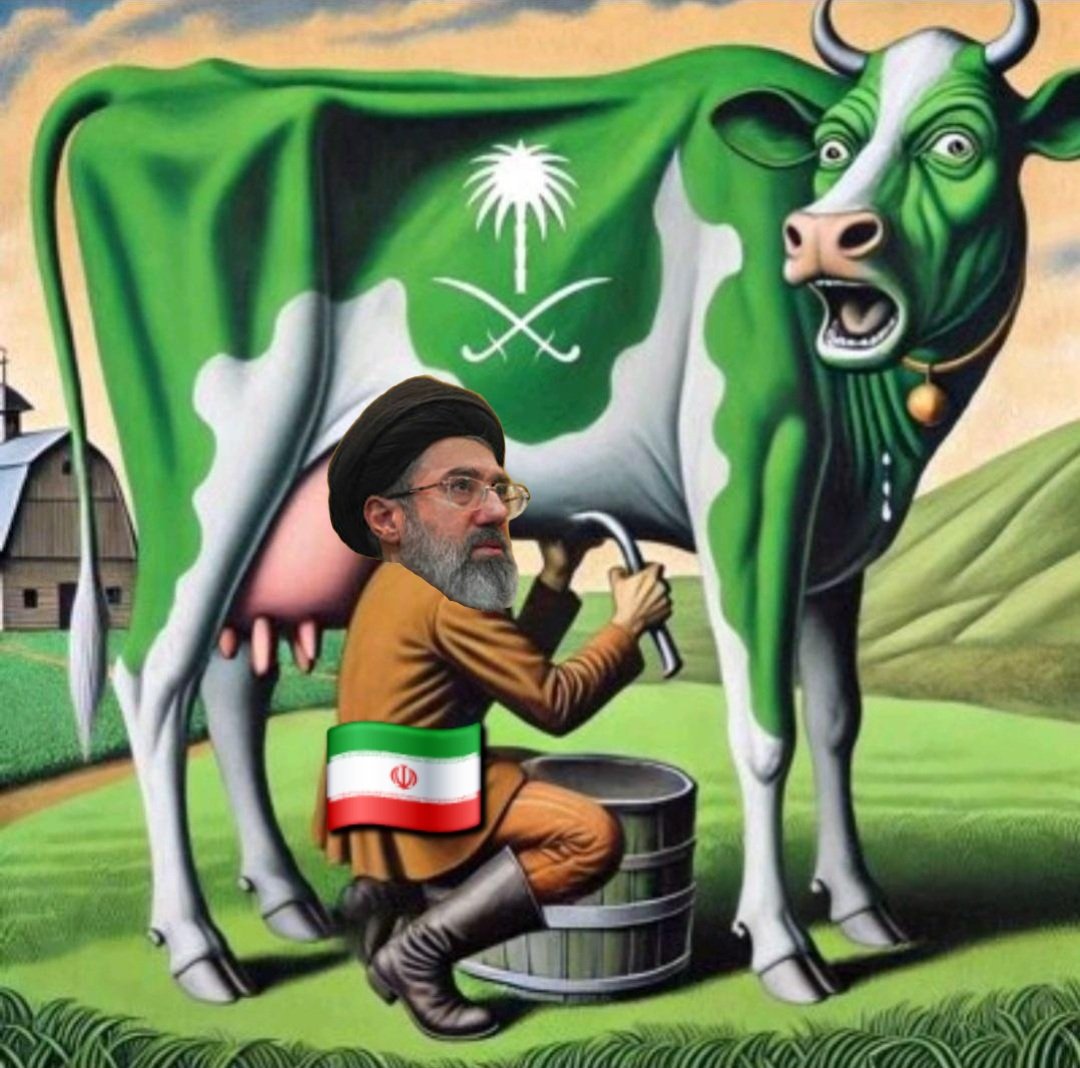 ColAleneziRabih's tweet photo. https://t.co/QOOTgZ6hg1