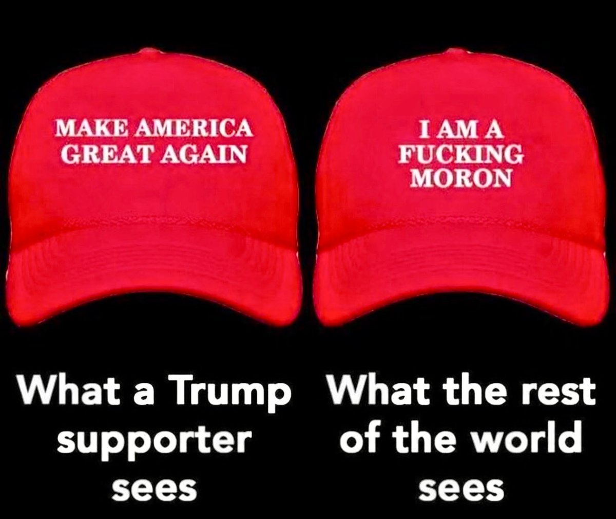 RichBoston's tweet photo. @sox_leo @BostonGlobe Not as stupid as you brainless cultists. https://t.co/N7AqlAXhcl