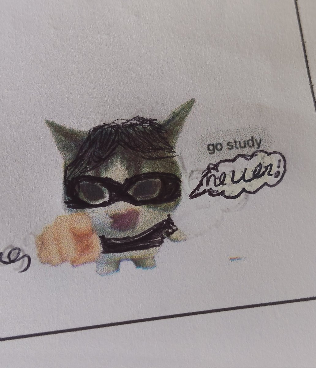 PRODlYG's tweet photo. o resultado dos gatinhos https://t.co/icAkeRLaoV
