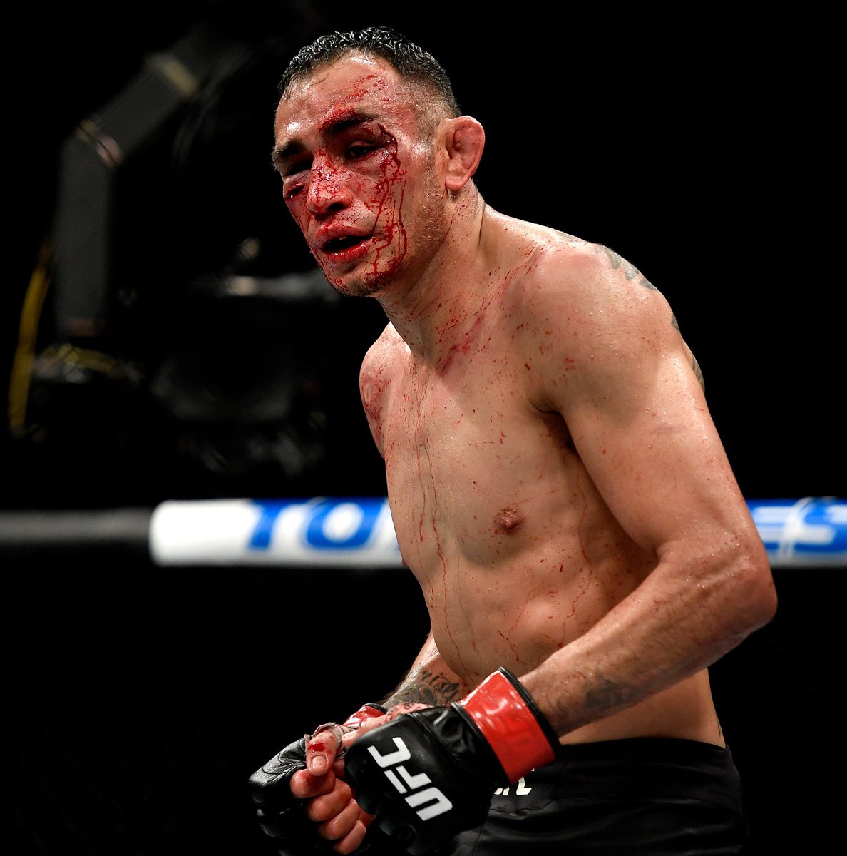 Amir_prv141's tweet photo. @MMA__TIME La dernière personne avant Topuria qui à autant ramasser par Gaethje c'était Tony et regardé 2 sec son tapology aujourd'hui. https://t.co/8GOboKFkaY