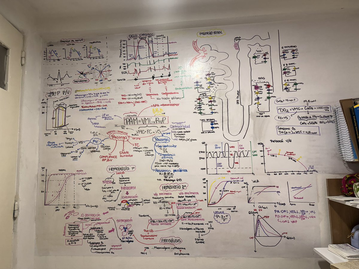 riastudyingmed's tweet photo. te amo pizarra de fisio R1 https://t.co/Z1eA0QMzp2