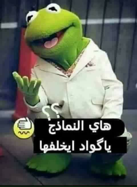 ZALMazen's tweet photo. @mahdijasem0 https://t.co/obUQ9enVKL