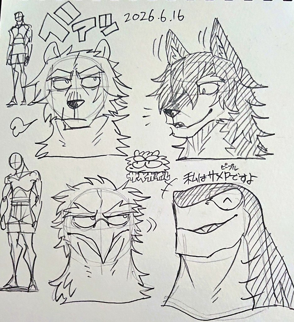 サメガイル 
