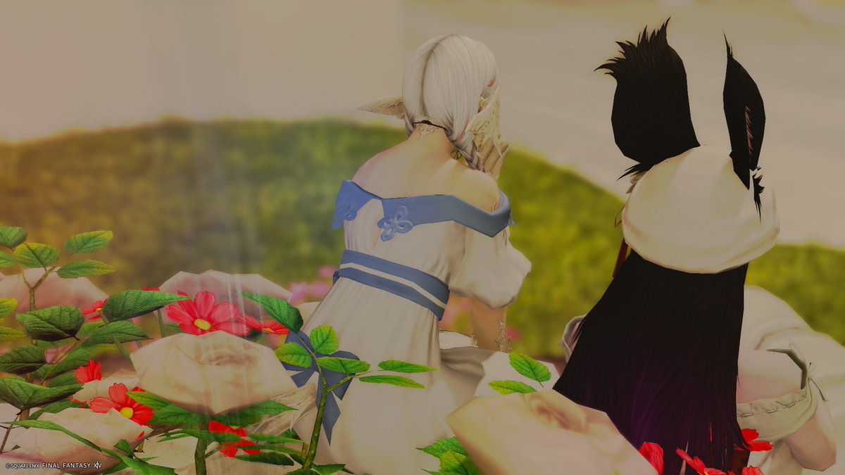 unstable_93's tweet photo. おはふわり
昨日はララさんと可愛すぎるスタジオお邪魔させて頂きました🫶🏻
どの場所も可愛くて撮る場所悩み
そしてララさんのうさ耳ちゃんが美人さんでキュンとしちゃいました!
てんきゅーです
#cham_studio https://t.co/vItfqn8jjk