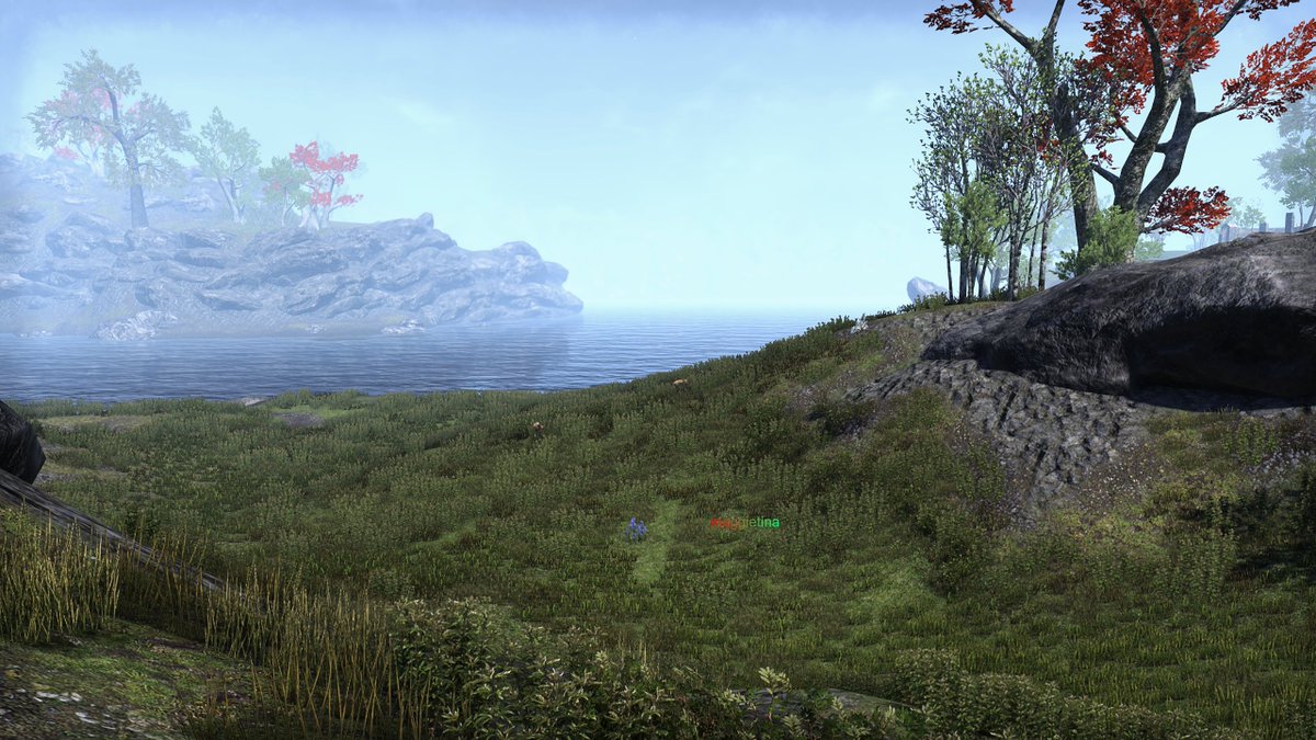 maggietina's tweet photo. pretty field🦋🐈⬛
check out my bio for more
#VPSupport #VPRepost #VPinspired #VirtualPhotography #TheCapturedCollective
#VPGamers #photomode
#ThePhotoMode #twitch #rpg #VPUnityHub #VPCommunity #VGPNetwork #ESOFam #ElderScrollsOnline #Trending #Warcraft #vtuber #palia #conanexiles