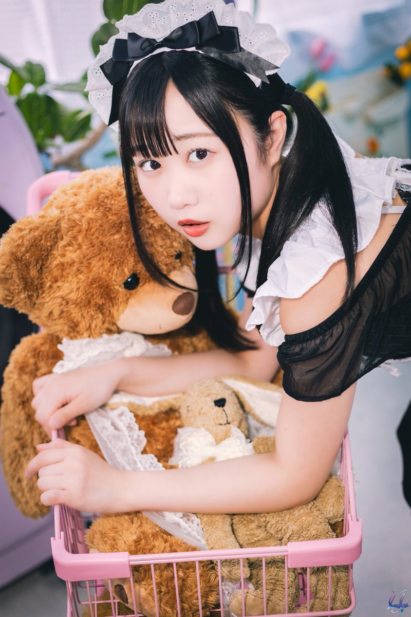 ほんちゃん (@PHOTO__HON) / Posts / X