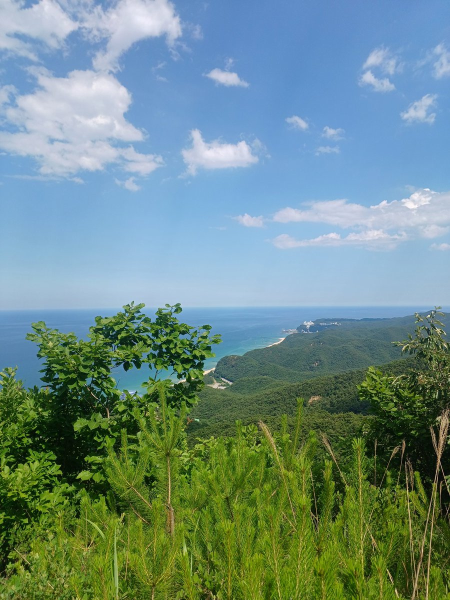 Yeon_Ax9890's tweet photo. 크아아악 산 바다 산산 바다다 https://t.co/YI5vWJcaDV