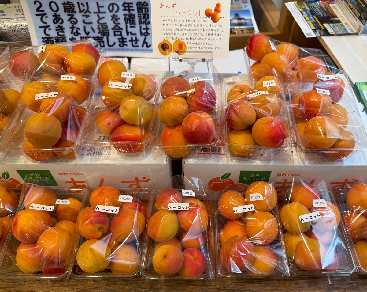 ハーコット、入荷しました！ 酸味が少なく甘みが強い生食専用の希少な 