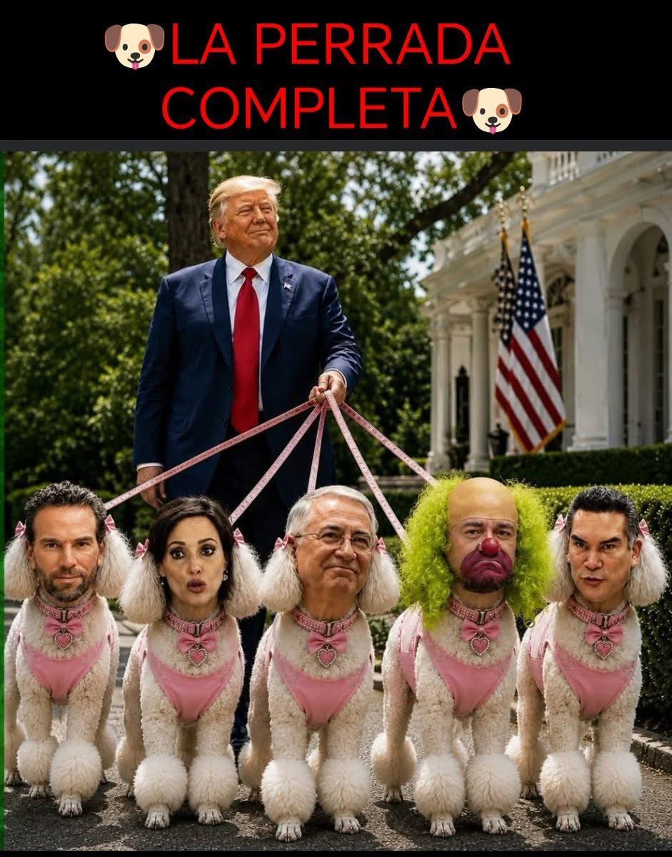 IsraelBagundo's tweet photo. @_VicenteSerrano Con todo y manada!!! Jajajaja 🐩 https://t.co/OVBywJIIdc