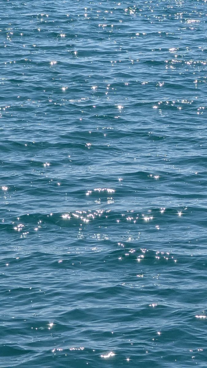 elyradream's tweet photo. shades of sea https://t.co/qzrARf1NRV