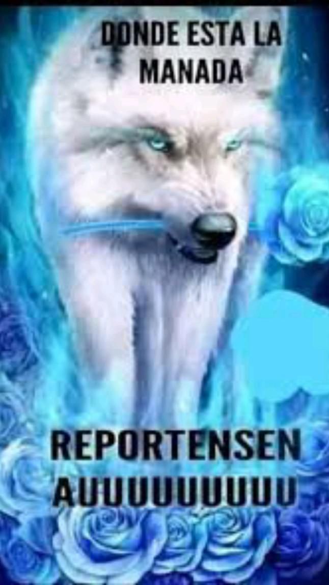 quakitiny's tweet photo. Nadie me va a callar, estoy tan feliz, es el lore que más esperaba del naukosick. Soy la naukosickera más feliz,  ustedes no entienden, este barco se transformó en avión. El angst es lo mejor y AQUI ESTARÉ PARA METER EL DEDO EN LA HERIDA 🤬 https://t.co/ySP96heFBr