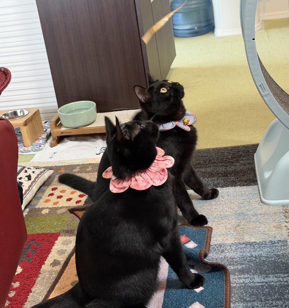 monkey_turn4's tweet photo. おはようございます。

えー、アケコンのボタンが何個か効かなくなってました... https://t.co/AWU88BMKp8