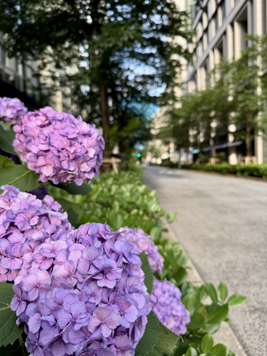 fkkjp's tweet photo. おはようございます。

今朝は理事会・評議員会を終えた私の気持ちを代弁するかのよう���晴天☀️です。い〜気持ちの朝です(笑)❣️

竣工間近の野村証券のビルと、日に日の高くなる東京torchを横目にいつもと同じように出勤しました。

昨日は、規程等厳しい指摘をいただきました。ここでは規程立案に詳しい社員がおらず私一人で進めているのでご指摘ありがたいです。

時間が押して今年取組む施策は足早のご説明になりましたが、会員増加・満足度向上に全力を傾けます。

今日も素敵な1日を楽しみましょう😋🎵