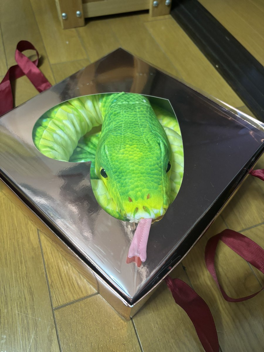 bulebird0422's tweet photo. おかきちゃんありがと🐍

センスに脱帽 https://t.co/F18lpKw1wK