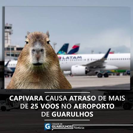 Brtytar's tweet photo. ATENÇÃO MEUS MUTAIS DE GUARULHOS!!!
tava discutindo com outro mano meu daqui e a gente tava fazendo um powerscaling de sofrimento com onibus dessa cidade, meu mano afirma que os 680 e 681 são os piores onibus ja feitos e eu afirmo que é o 732
Qual onibus vcs tmb odeiam??? https://t.co/UD8TT4zrJU