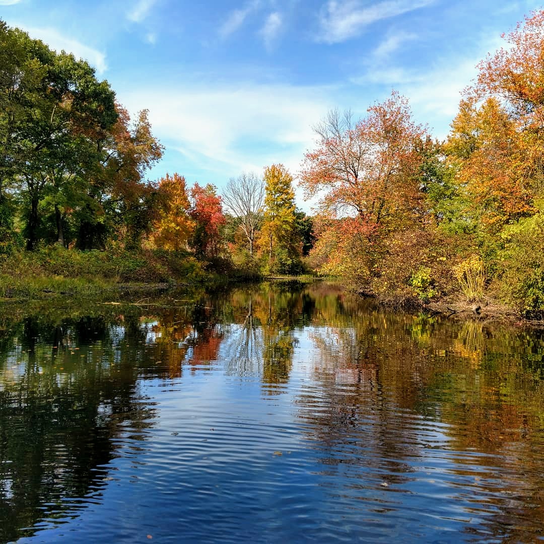 Jim22quiet's tweet photo. @sarahsalviander The Charles is actually fairly clean a bit upriver. https://t.co/QPX8XZJuSm