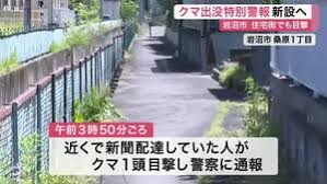 ななえ(SNS運用代行) tweet media