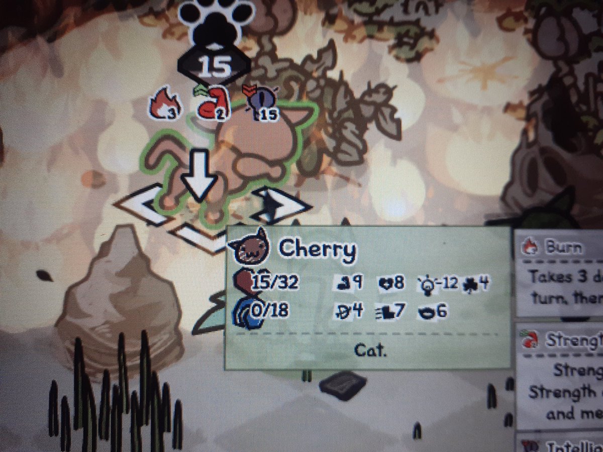 C0SM0SI's tweet photo. dumbest cat alive https://t.co/46SCG1UDHq