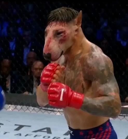 TrippedEditz's tweet photo. @kylemakhachev Fuck you bitch https://t.co/SepRnymKmn