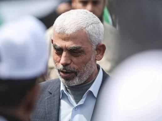 حسین اینانلو tweet media