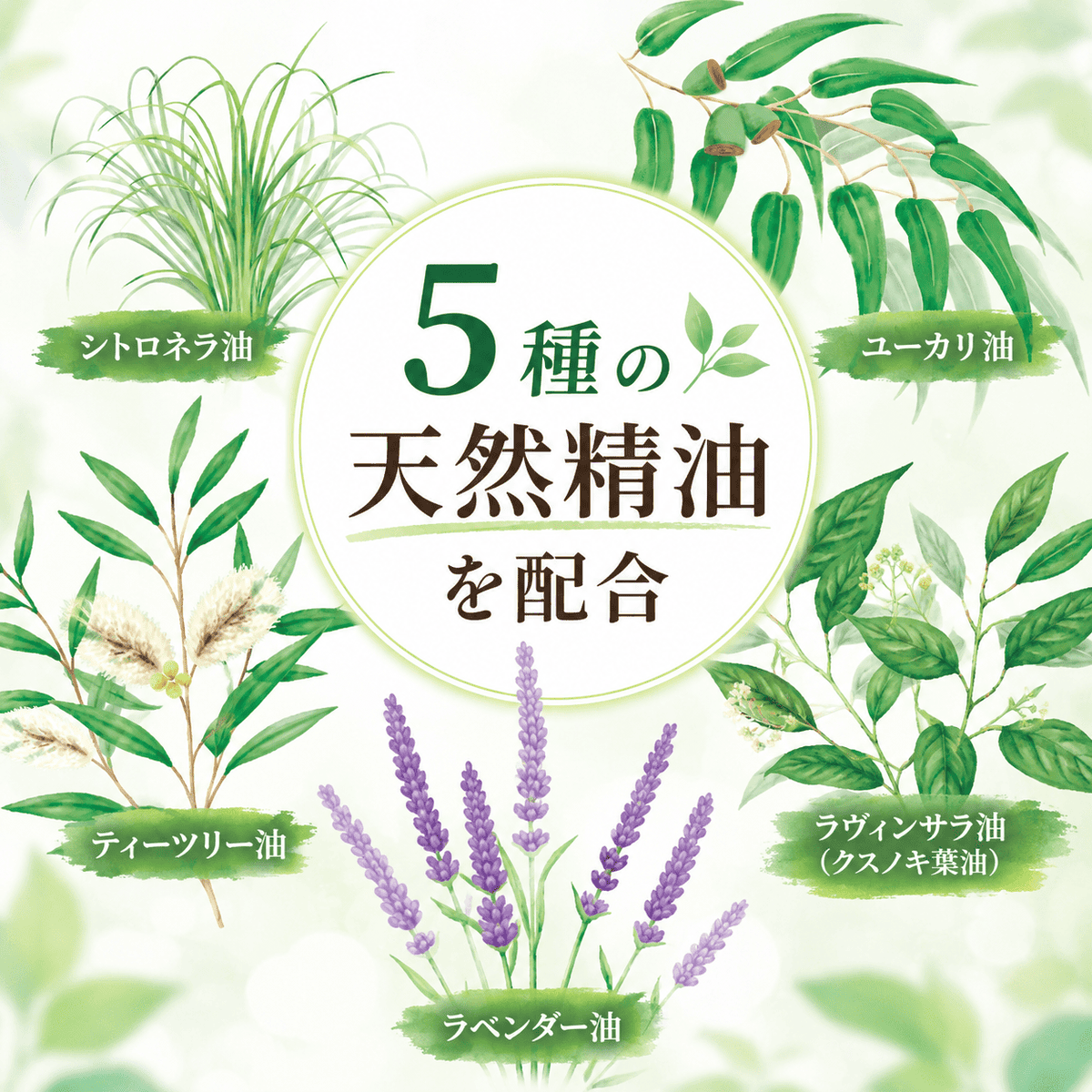 TaiyoOnlineShop's tweet photo. 香りが良いと評判の大洋製薬アロマボディミスト
５種類のハーブをブレンドしております。
オトクな２本セットをお取引様にてご販売頂いております(^o^)　どうぞお試しください！
＃企業公式相互フォロー　
https://t.co/02vs8sYwLT https://t.co/XkFD0ODsOU