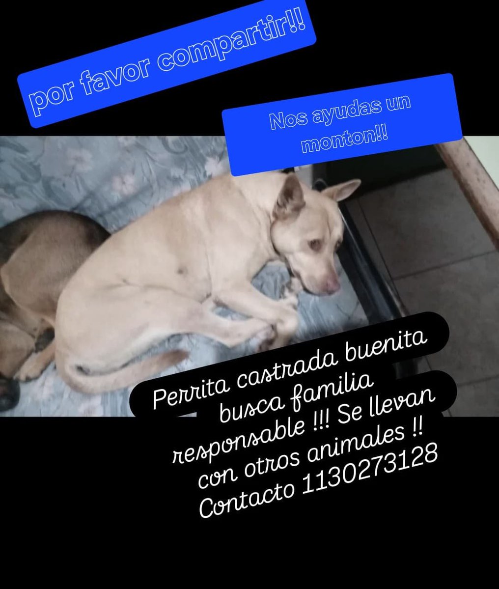 patripeyrou's tweet photo. Por favor compartis entre tus contactos !!💖💖 https://t.co/nqutGpjcCh