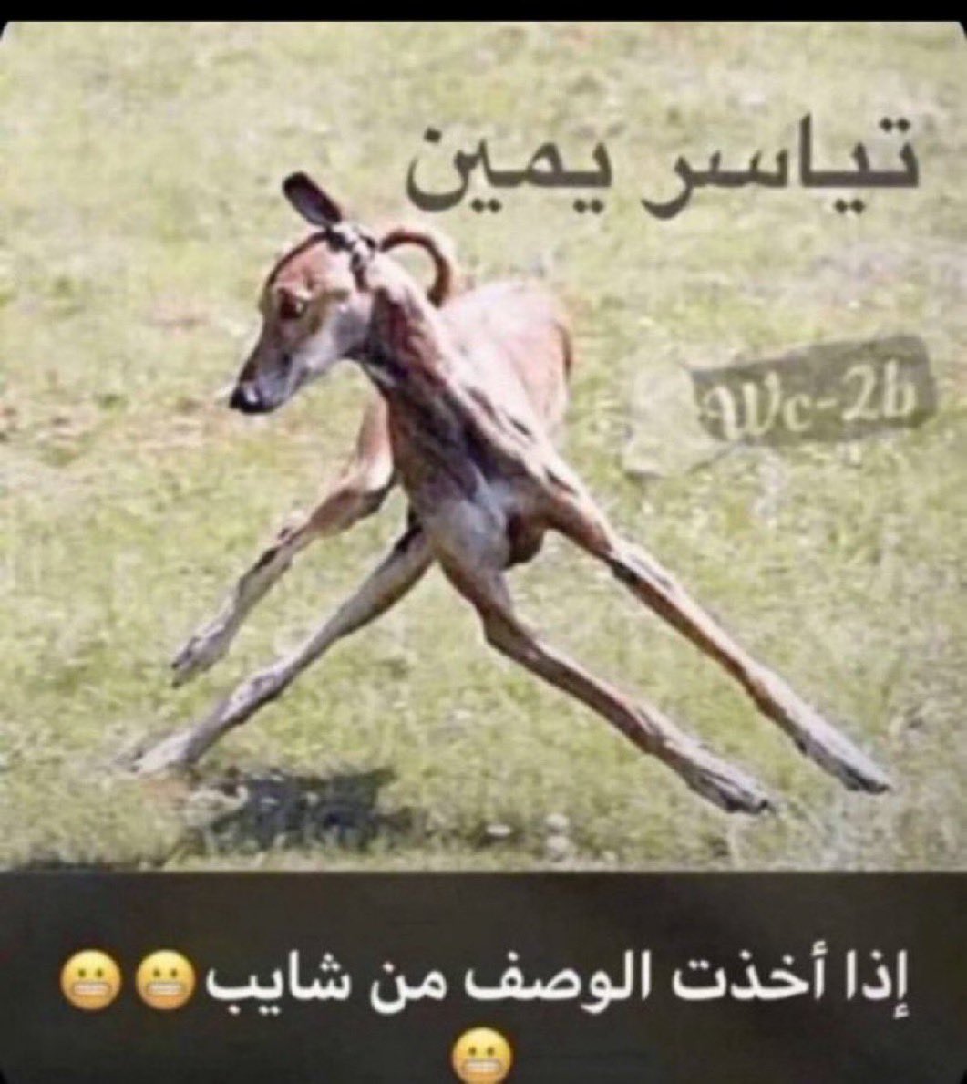 ٍ tweet media