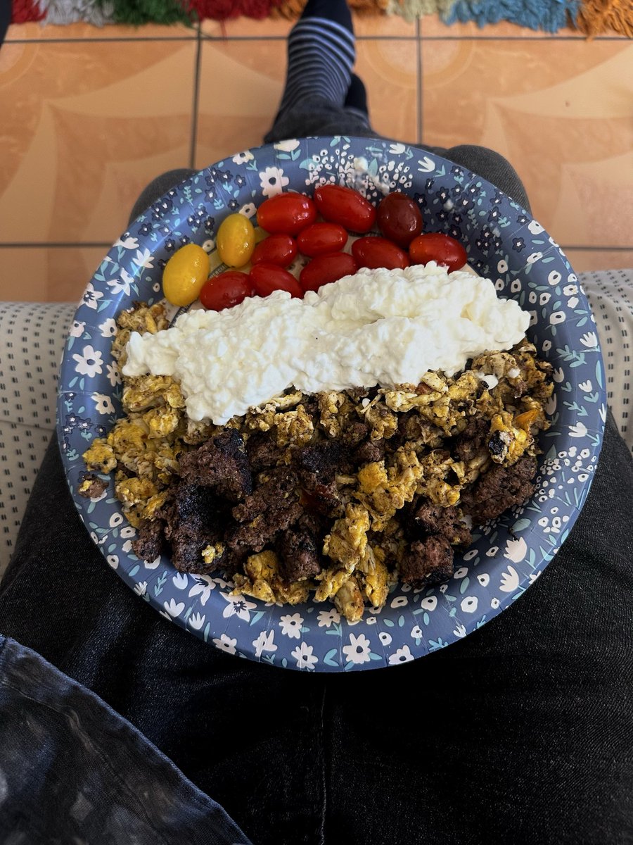 DirectedxEmbryo's tweet photo. This plate of food is 1500 calories, 100 grams of protein. https://t.co/hDokgjIWID