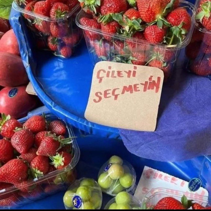 sadoksgn's tweet photo. Hayatımızı yiyorlar !
Pazarda Bile Çileyi Seçmeyin Yazıyor

#GeçimDeğilçile https://t.co/e9vAveE12z