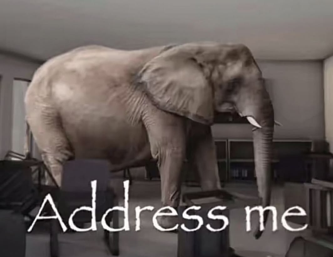 sunshin3_wolfe's tweet photo. the magicians elephant in a nutshell https://t.co/8OXhbRWD3U